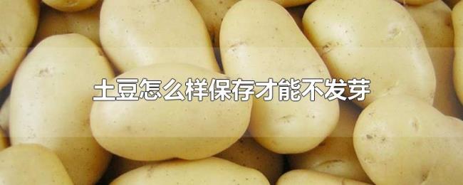 土豆怎么样保存才能不发芽 土豆怎么样保存才能不发芽