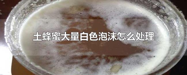 土蜂蜜大量白色泡沫怎么处理 土蜂蜜大量白色泡沫怎么处理