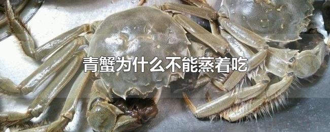 青蟹为什么不能蒸着吃 青蟹为什么不能蒸着吃