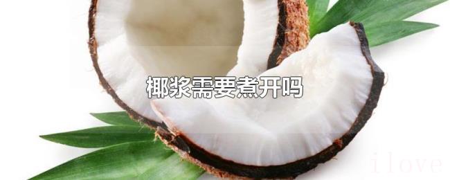 椰浆需要煮开吗 椰浆需要煮开吗