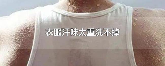 衣服汗味太重洗不掉