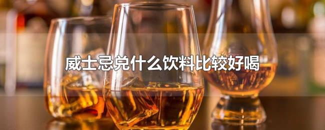 威士忌兑什么饮料比较好喝