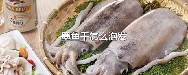 墨鱼干怎么泡发