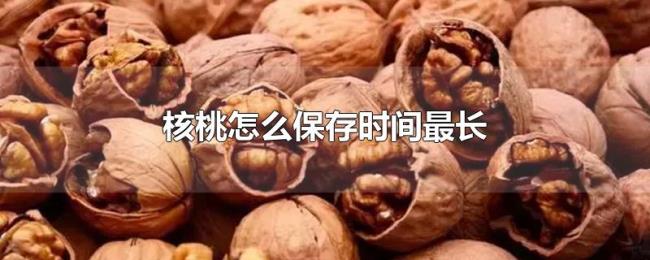 核桃怎么保存时间最长