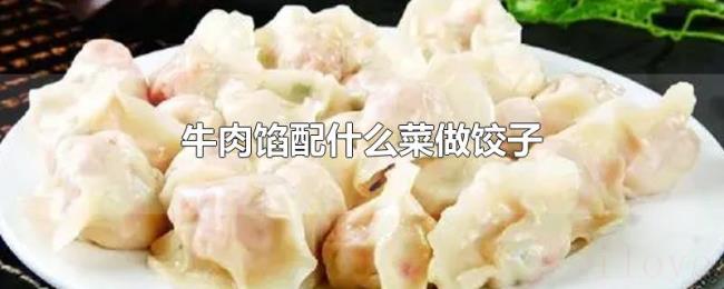 牛肉馅配什么菜做饺子