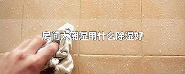 房间太潮湿用什么除湿好 房间太潮湿用什么除湿好