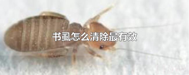书虱怎么清除最有效