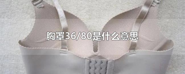 胸罩36/80是什么意思 胸罩36/80是什么意思