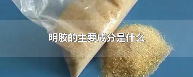 明胶的主要成分是什么