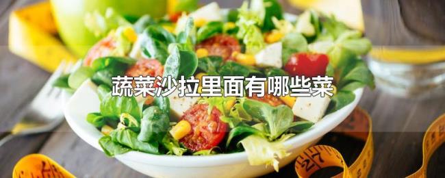 蔬菜沙拉里面有哪些菜