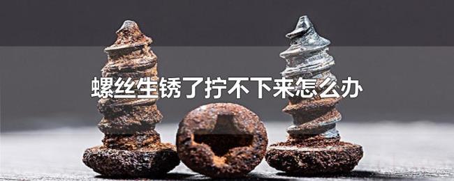 螺丝生锈了拧不下来怎么办 螺丝生锈了拧不下来怎么办