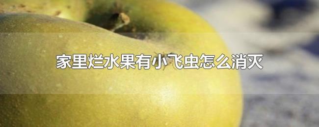 家里烂水果有小飞虫怎么消灭 家里烂水果有小飞虫怎么消灭