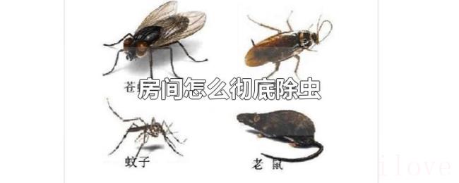 房间怎么彻底除虫 房间怎么彻底除虫