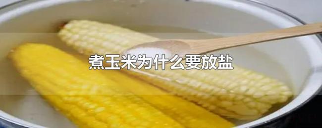 煮玉米为什么要放盐 煮玉米为什么要放盐