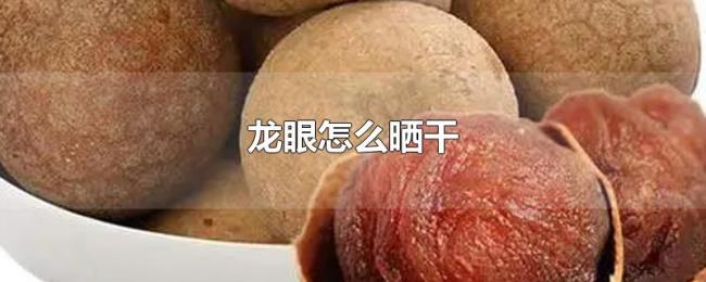 龙眼怎么晒干 龙眼怎么晒干