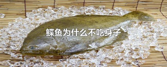 鲽鱼为什么不吃身子 鲽鱼为什么不吃身子