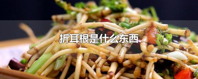 折耳根是什么东西