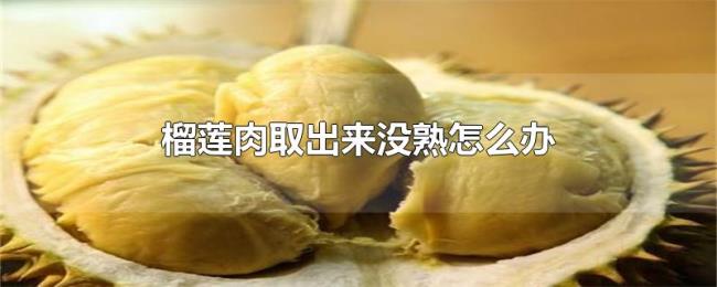 榴莲肉取出来没熟怎么办 榴莲肉取出来没熟怎么办