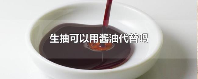 生抽可以用酱油代替吗 生抽可以用酱油代替吗