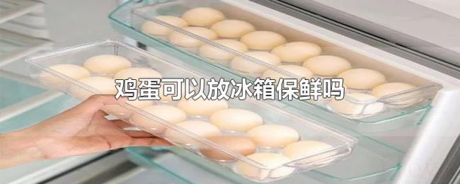 鸡蛋可以放冰箱保鲜吗