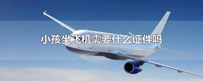 小孩坐飞机需要什么证件吗