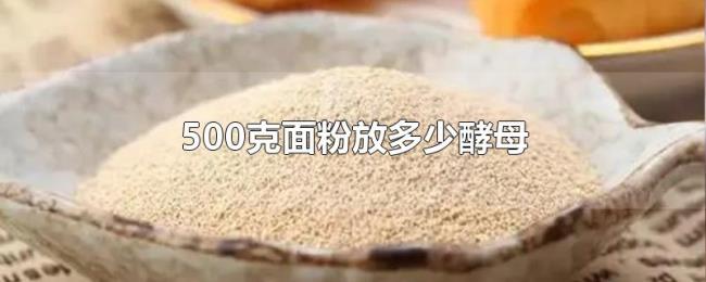 500克面粉放多少酵母 500克面粉放多少酵母