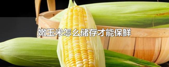 嫩玉米怎么储存才能保鲜 嫩玉米怎么储存才能保鲜