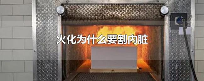 火化为什么要割内脏