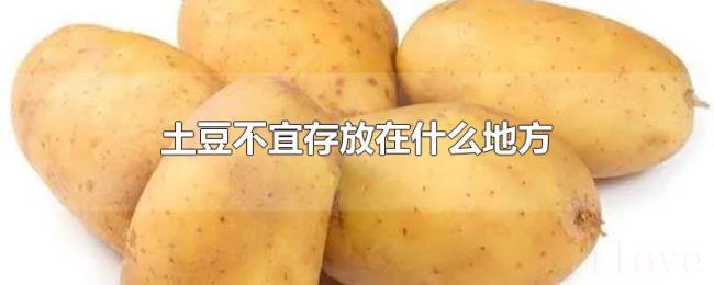 土豆不宜存放在什么地方 土豆不宜存放在什么地方