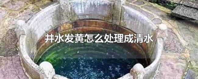 井水发黄怎么处理成清水 井水发黄怎么处理成清水