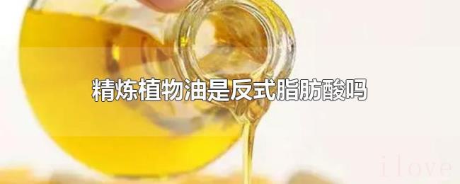 精炼植物油是反式脂肪酸吗