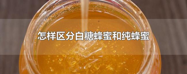 怎样区分白糖蜂蜜和纯蜂蜜
