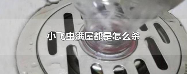 小飞虫满屋都是怎么杀