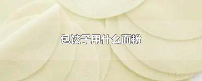 包饺子用什么面粉 包饺子用什么面粉