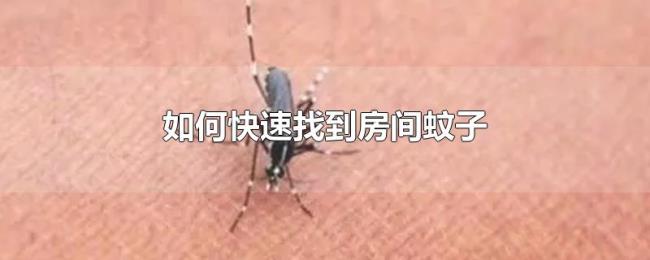 如何快速找到房间蚊子
