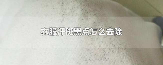 衣服汗斑黑点怎么去除