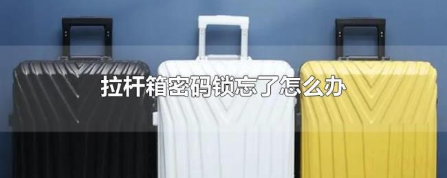 拉杆箱密码锁忘了怎么办