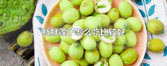 新鲜莲子怎么吃比较好 新鲜莲子怎么吃比较好