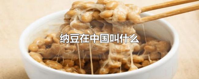 纳豆在中国叫什么