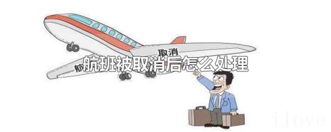 航班被取消后怎么处理