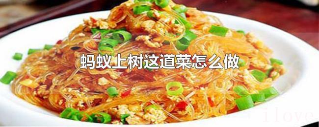 蚂蚁上树这道菜怎么做