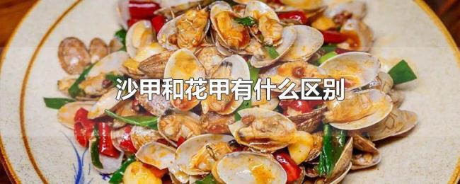 沙甲和花甲有什么区别 沙甲和花甲有什么区别