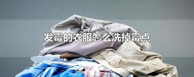 发霉的衣服怎么洗掉霉点