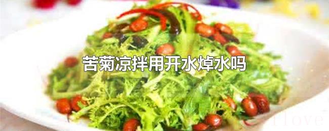 苦菊凉拌用开水焯水吗 苦菊凉拌用开水焯水吗