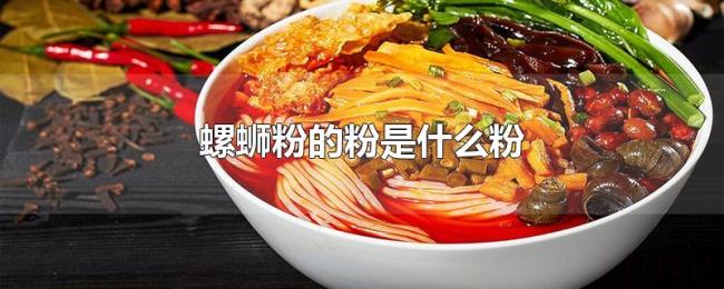螺蛳粉的粉是什么粉 螺蛳粉的粉是什么粉