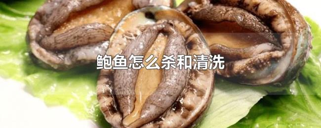 鲍鱼怎么杀和清洗