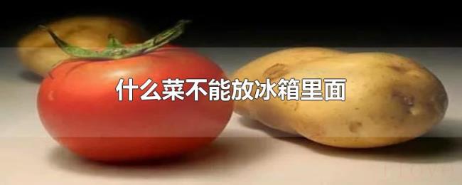 什么菜不能放冰箱里面 什么菜不能放冰箱里面