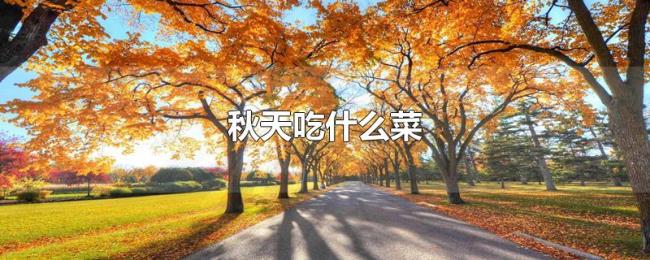 秋天吃什么菜 秋天吃什么菜