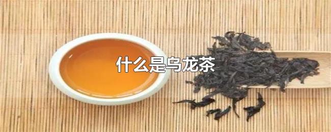 什么是乌龙茶
