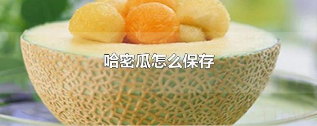哈密瓜怎么保存 哈密瓜怎么保存